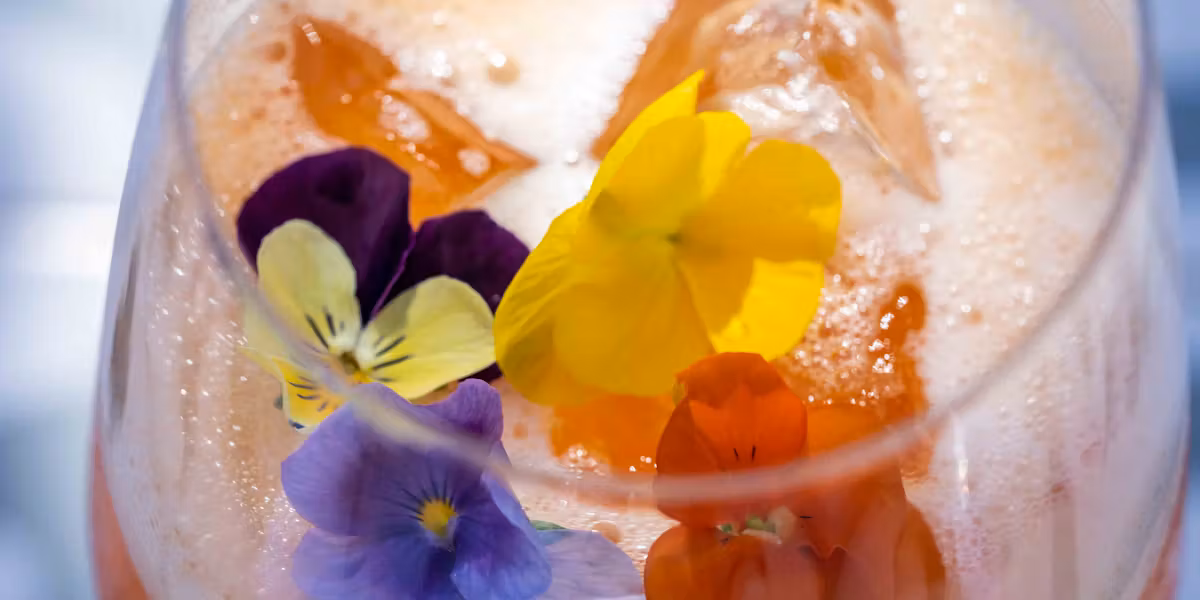 Easy Christmas Punch Recipes for a Crowd 1 Easy Christmas Punch Recipes for a Crowd