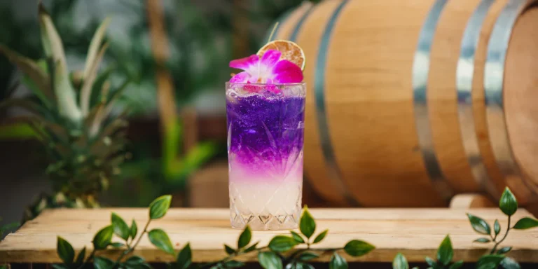 The Star Studded Sip: Why the Blueberry Lemonade Cocktail is Hollywood's Hottest Drink Right Now
