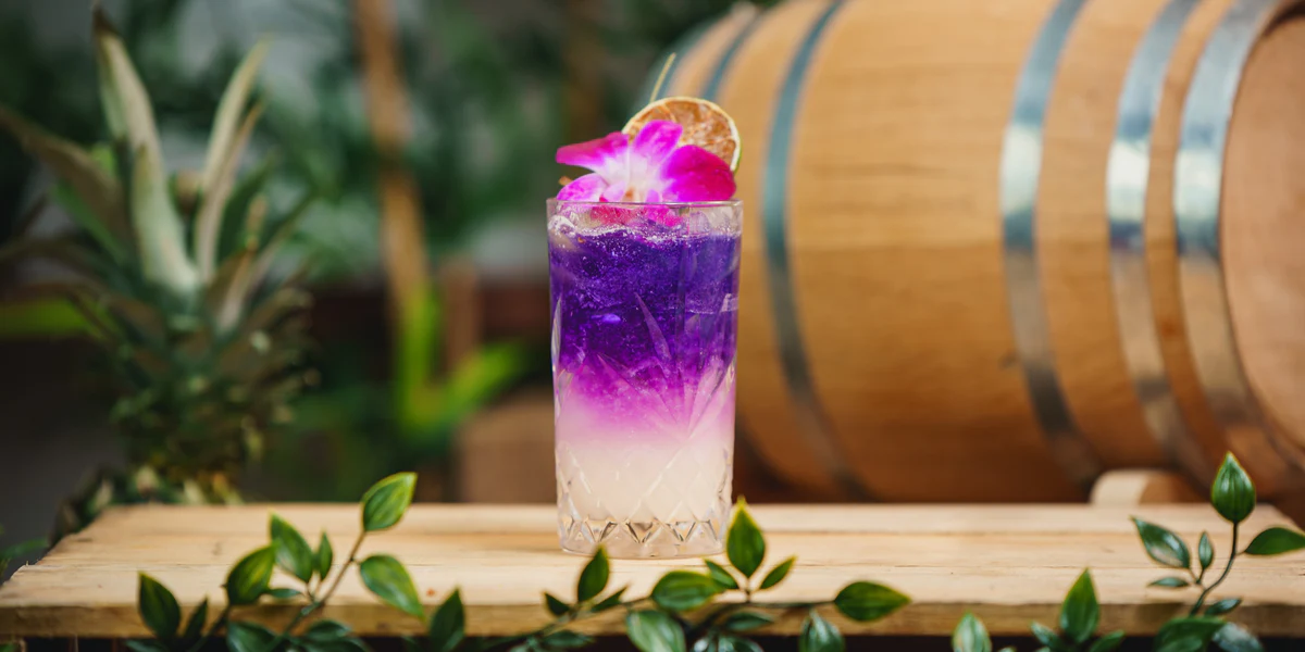 The Star Studded Sip: Why the Blueberry Lemonade Cocktail is Hollywood's Hottest Drink Right Now